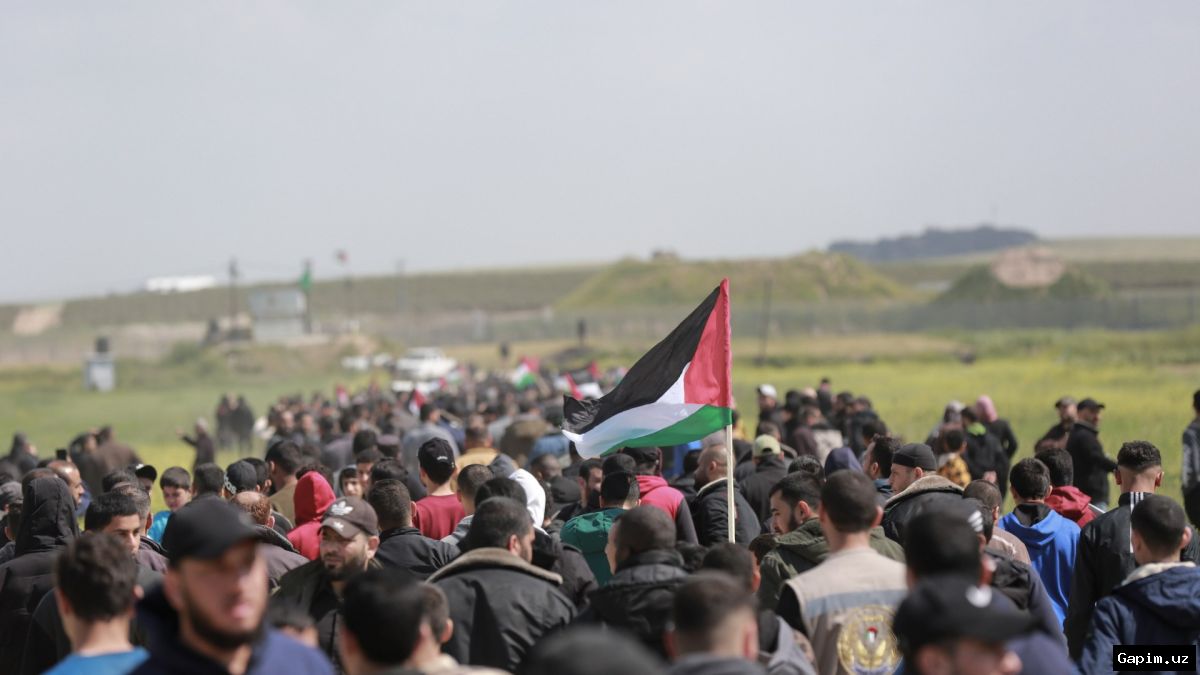 🕊️🗺️ Falastinliklar 'Yer Kuni'ni nishonlashdi: 50 yillik qonli voqealarning esdaligi va hozirgi yer tortib olishlar