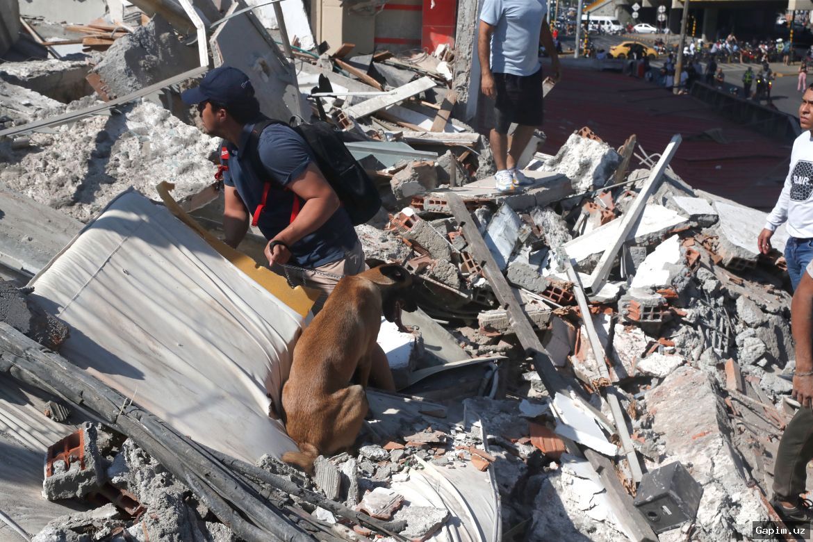 🌍💥 Magnitude 7.4 Earthquake Strikes Colombia: At Least 73 Dead
