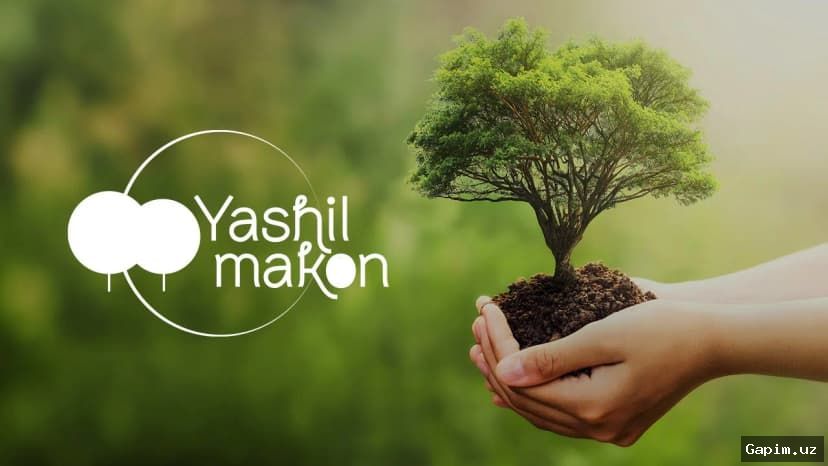 🌳🌱 Uzbekistan Plans to Plant 140 Million Saplings Under the 'Yashil Makon' Initiative
