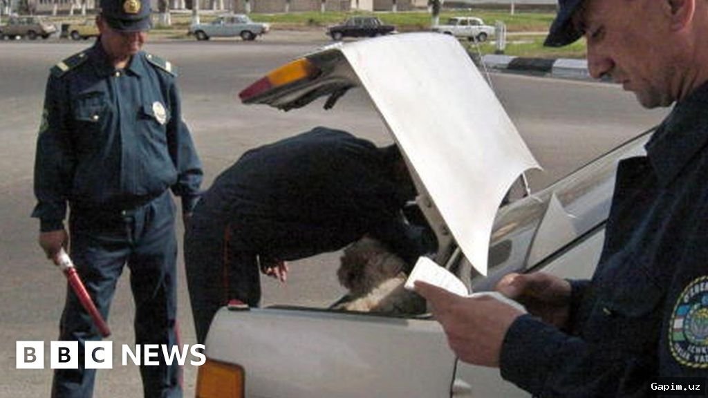 🚔🚗 O‘zbekistonda yo‘l xulig‘onligiga qarshi keng qamrovli operatsiya: 10 kun ichida 16 mingdan ortiq qoidabuzarlik aniqlangan