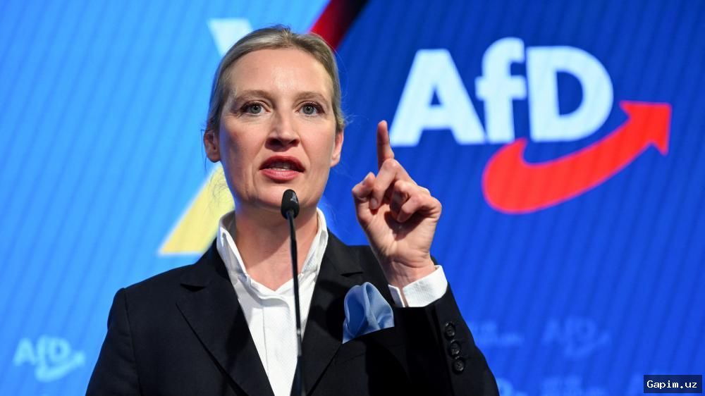 🏛️🇩🇪 AfD haqida tushunchalar: o‘ng qanot, ekstremizm va fashizm atamalari nimani anglatadi?