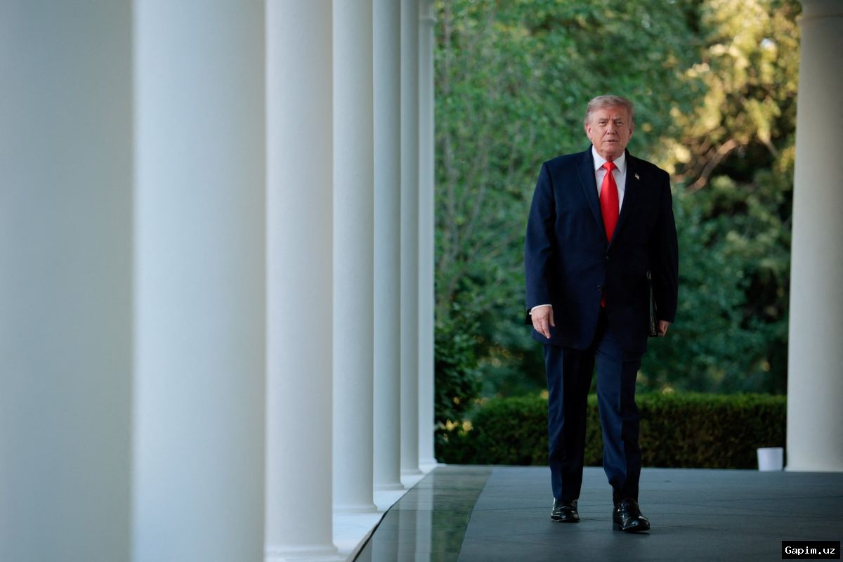 🇺🇸💻 Трамп пригрозил 100% пошлиной за цифровой налог