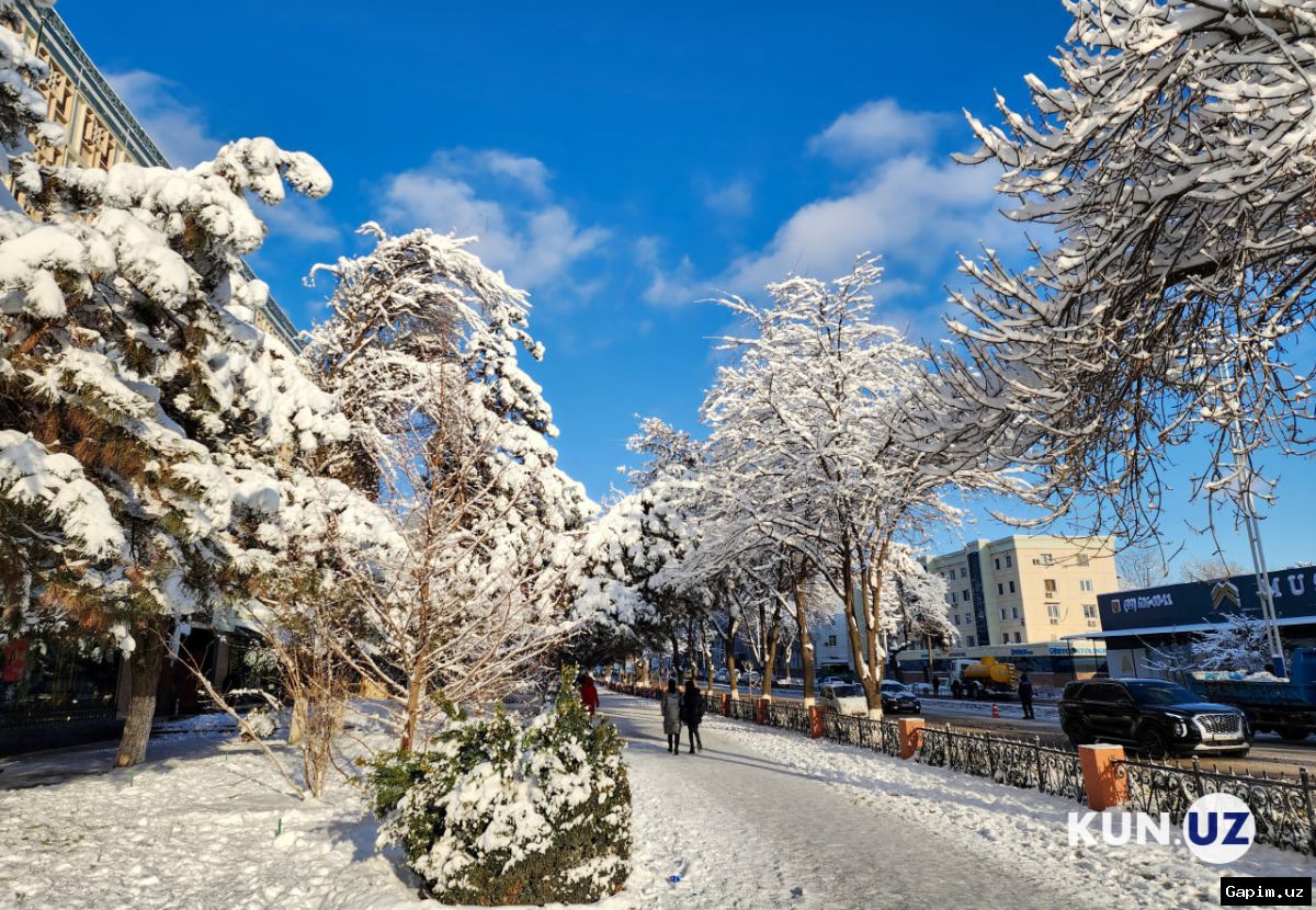 ❄️🌨 Неожиданный снегопад в Ташкенте: данные погоды и предупреждение для водителей