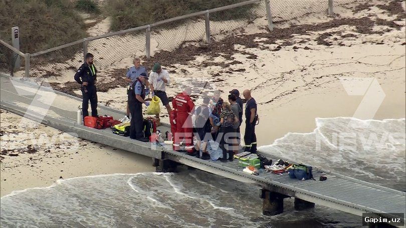 🦈⚰️ Avstraliyada akula hujumi: 38 yoshli erkak halok bo'ldi