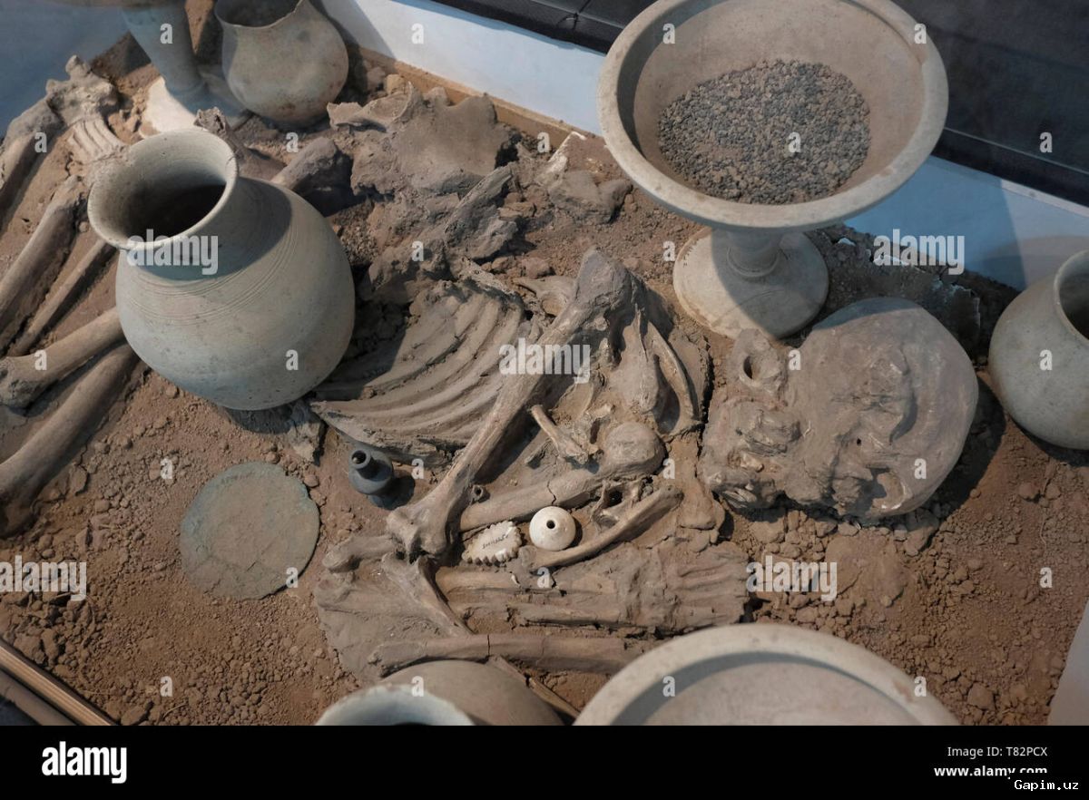 🏛️🏺 Surxondaryodagi Jarkutan yodgorligida qadimiy topilmalar aniqlandi