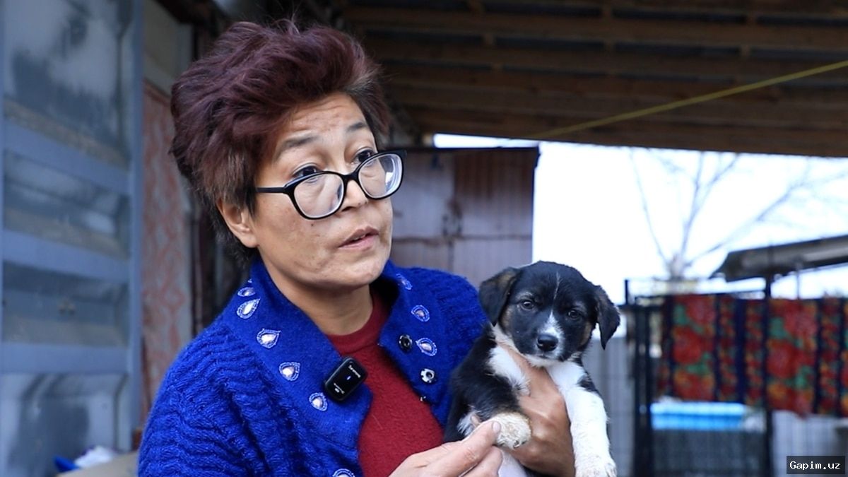 🐕⚠️ Animal catchers in Nurafshon allegedly ordered to kill stray dogs instead of sheltering them, sparking public outrage
