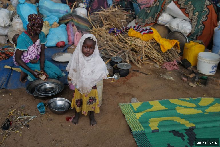 ⚖️🌍 Sudan's Darfur: Secret monitors document genocide, mass graves, and sexual violence by RSF
