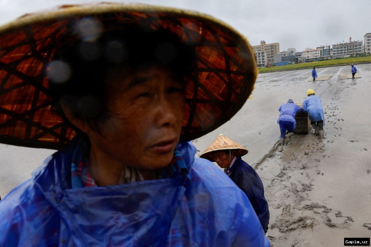 🌪️🏠 Typhoon Bavi barrels toward China: Over 600,000 evacuated