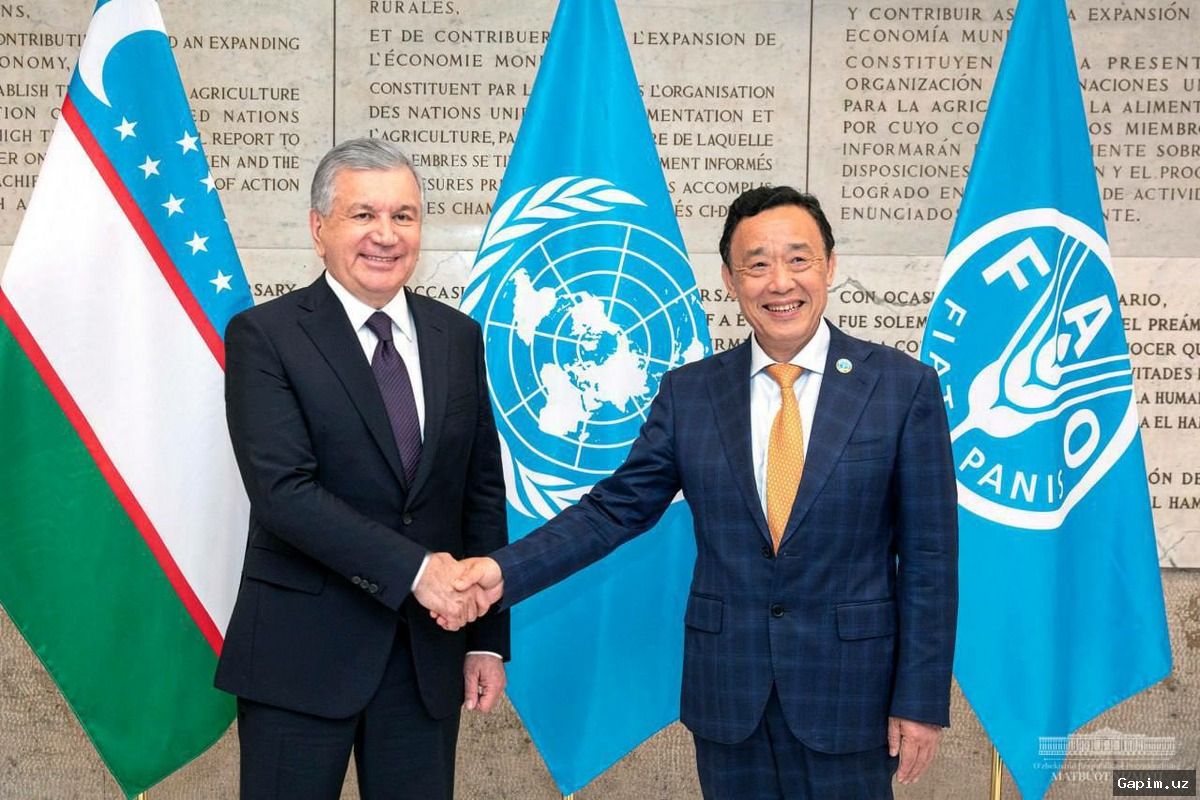 🐄🌾 Shavkat Mirziyoyev chorvachilikni rivojlantirish bo‘yicha keng ko‘lamli chora-tadbirlarni belgiladi