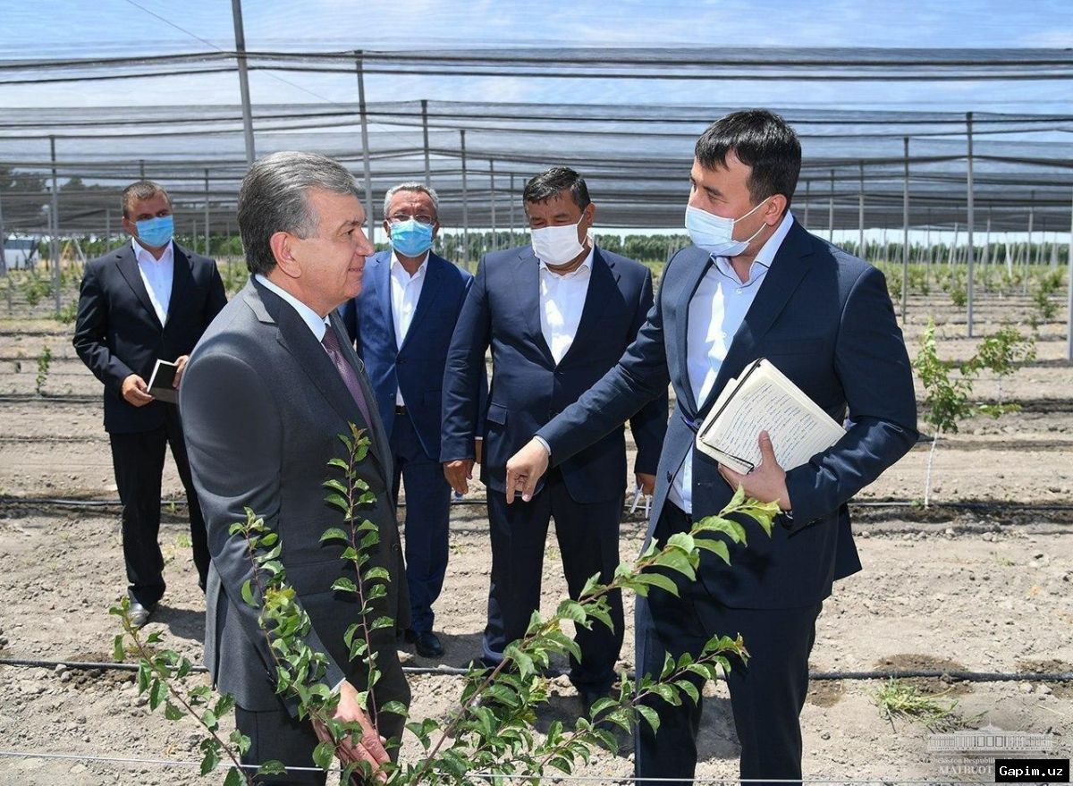 🌾💰 Fergana region turns household plots into agribusiness earning millions of soums