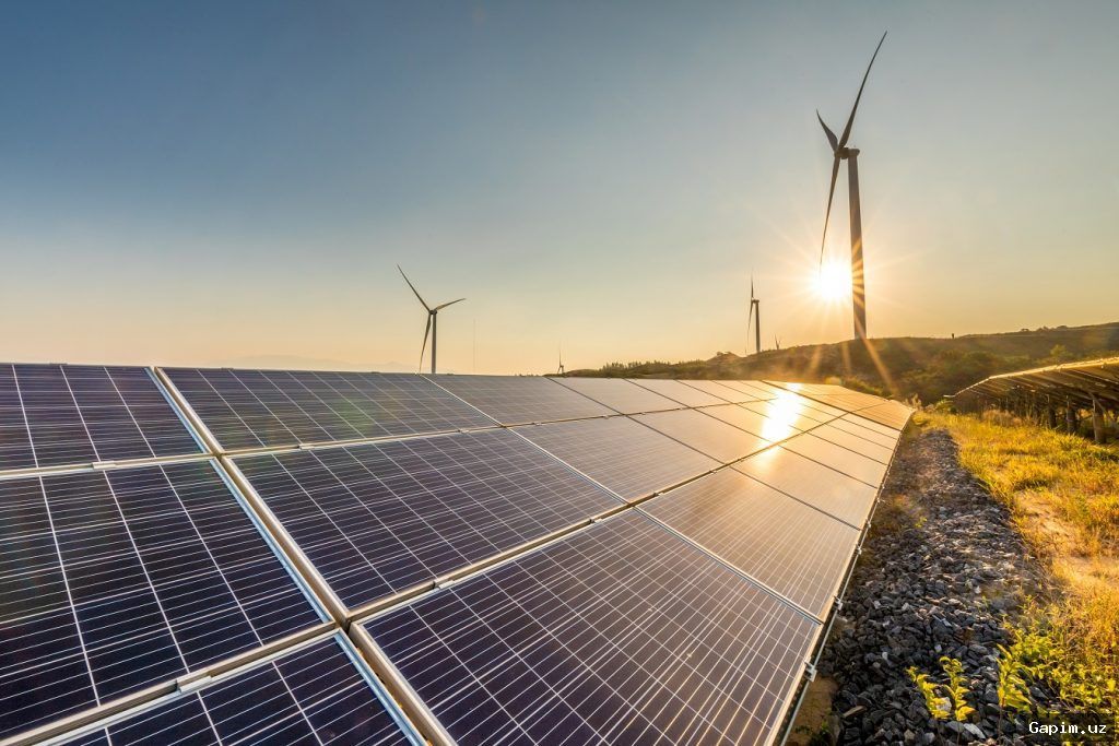 🌞💨 O‘zbekistonda qayta tiklanuvchi energiya ishlab chiqarish 29 foizga oshdi