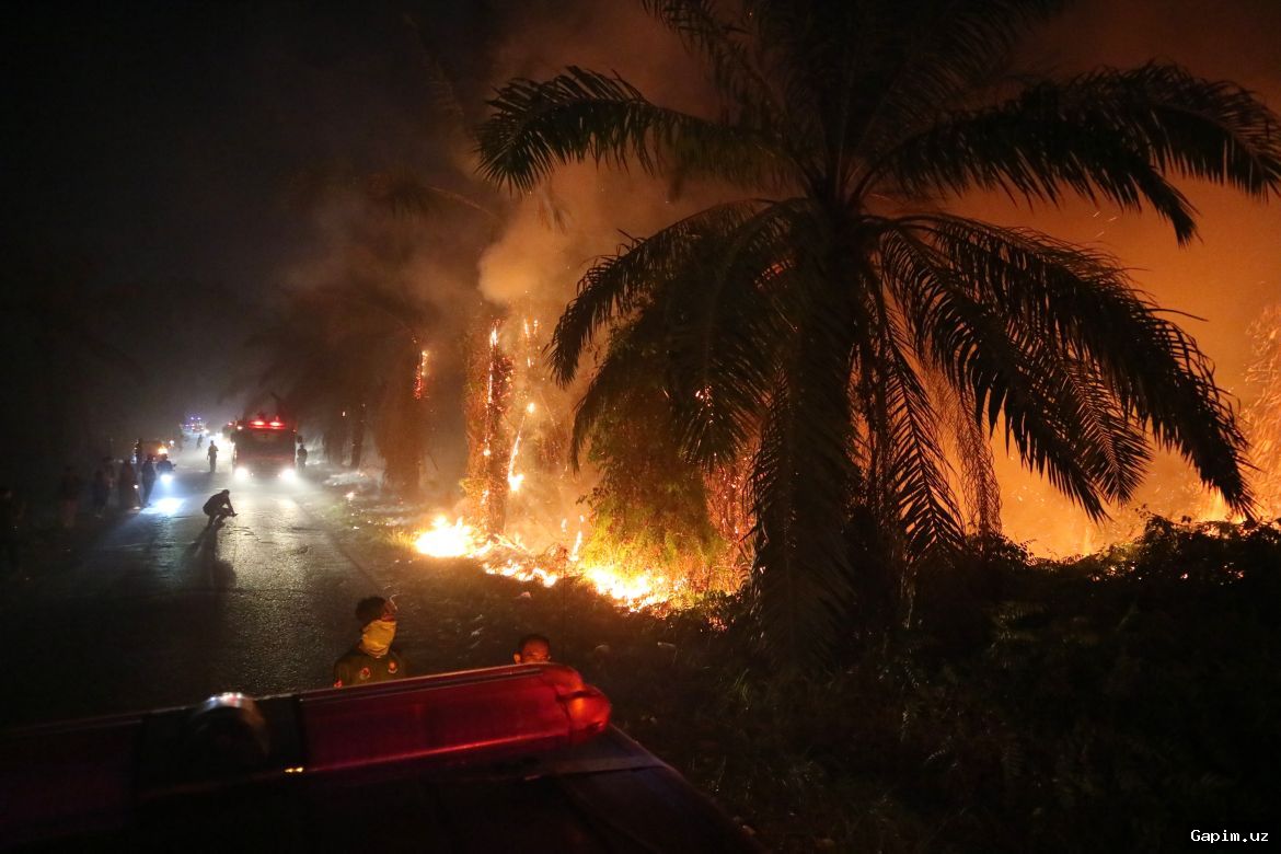 🔥🌏 Indonesia wildfires: Residents face health crisis as haze and ash blanket regions
