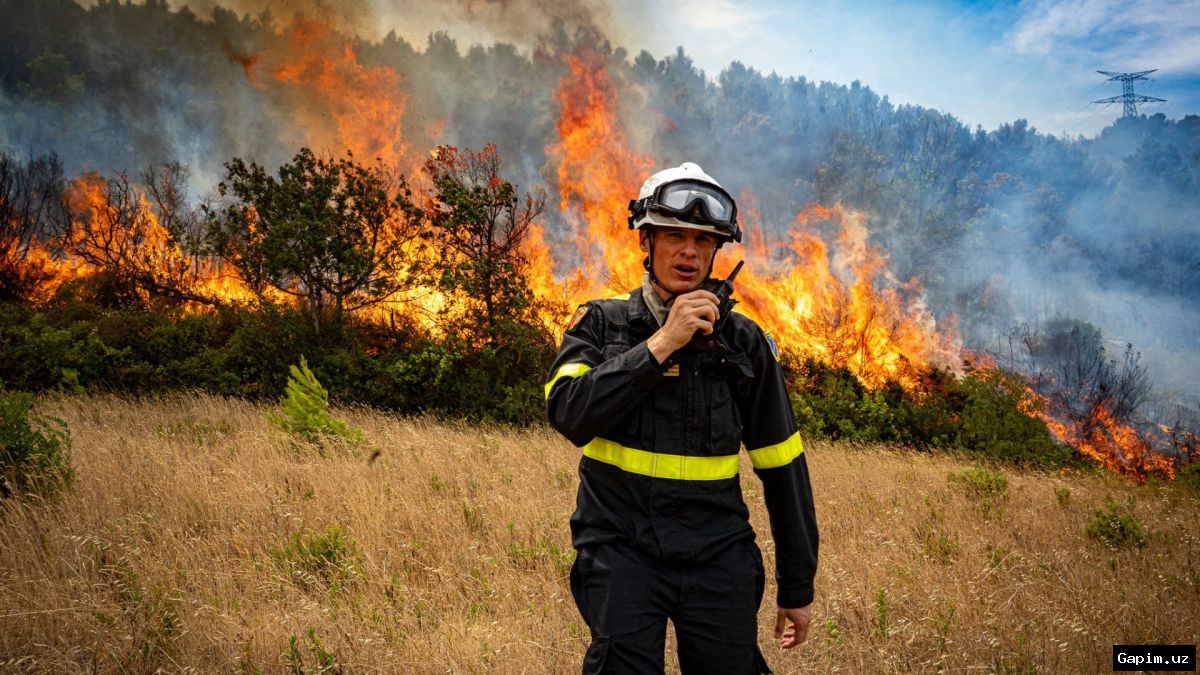 🔥🌲 Fransiyaning janubida yong‘inlar: 3000 sayyoh va mahalliy aholi evakuatsiya qilindi