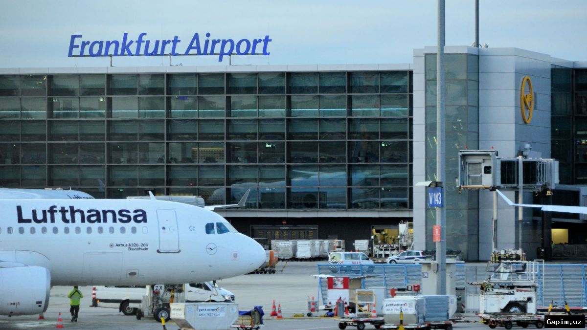 🦟✈️ Вспышка малярии в аэропорту Франкфурта: 8 заболевших, 3 умерших