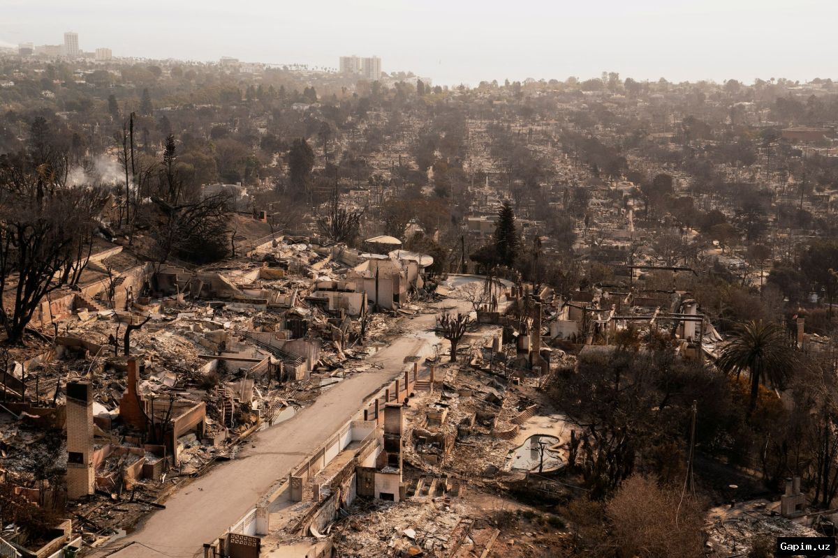 🔥🌍 Devastating wildfires hit wealthy regions in 2025, global area burned declines but damage severe