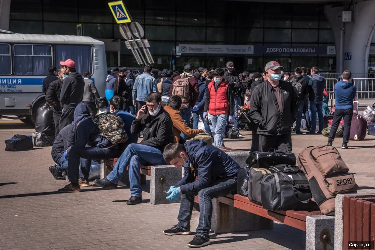 🌍💼 O‘zbekiston fuqarolarining xorijda mehnat migratsiyasi: yangi ma’lumotlar