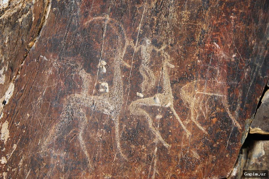🗿🏞️ New Paleolithic and Neolithic Sites, Including 30 Petroglyphs, Discovered in Jizzakh Region