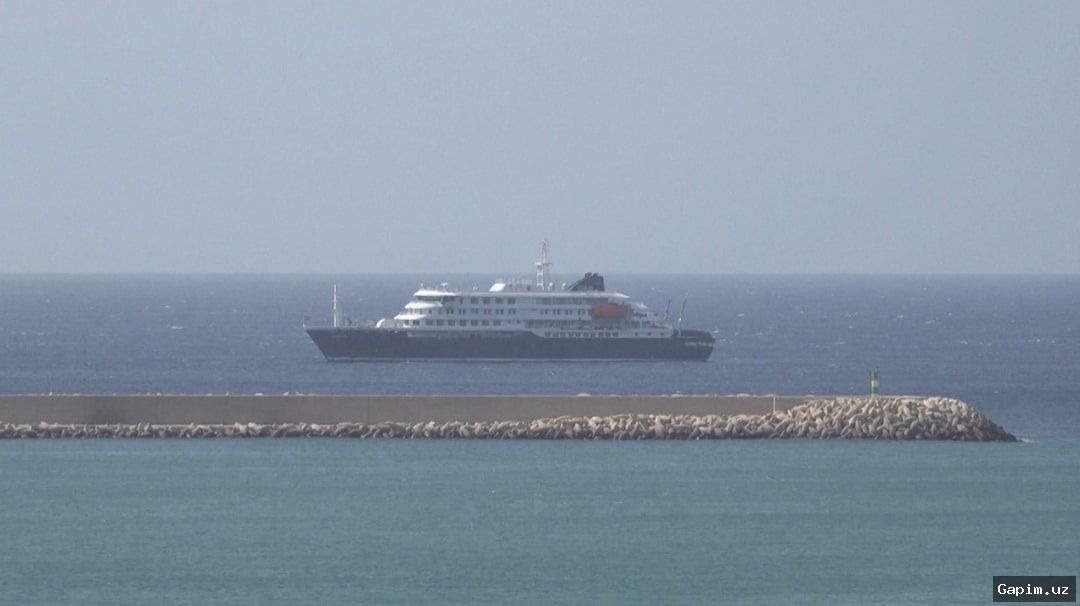 🔴🚢 Хантавирус на круизном лайнере: 7 заболевших, 3 погибших