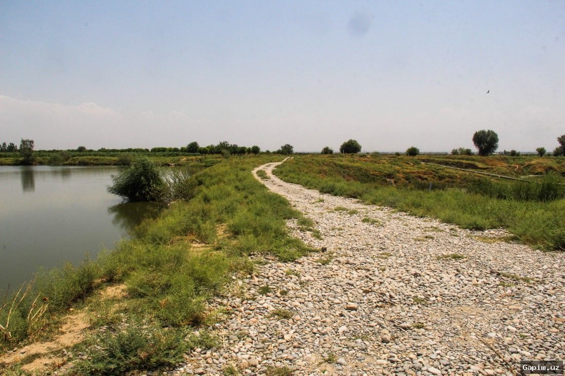 🌿🚫 Qashqadaryoda lolazor vayron qilingan: Uch kishi 61 million so‘m jarima to‘lashga majbur