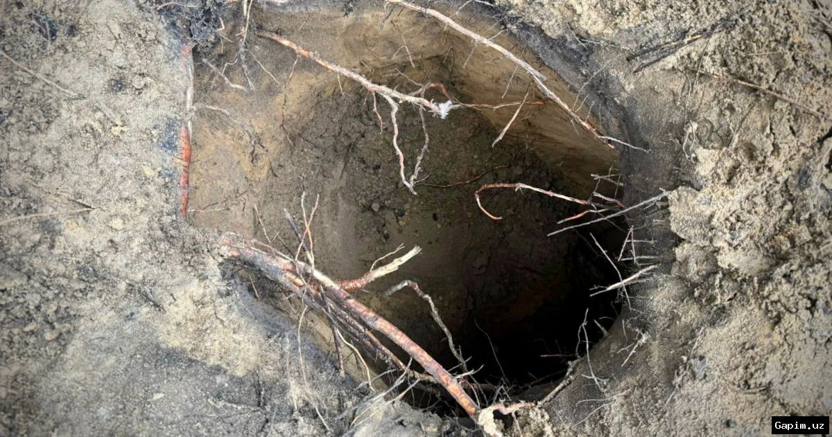 🌍🚧 Lithuania Border Guards Discover Tunnels Used by Migrants from Belarus