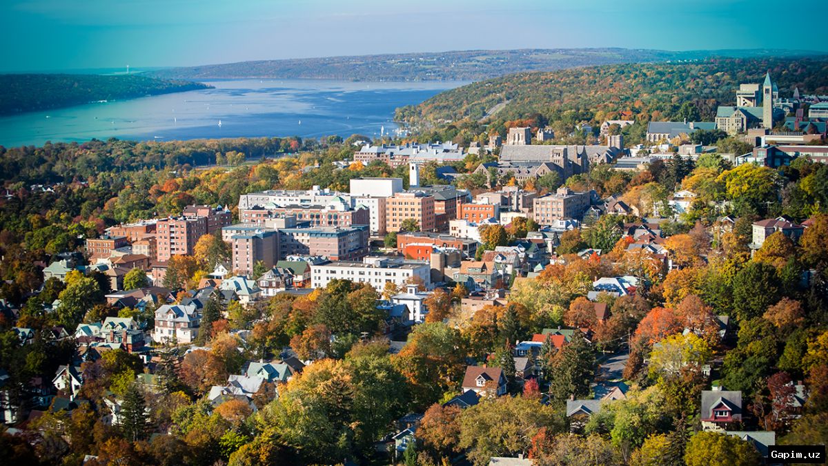 🏛️🇺🇸 AQSh universiteti jinsiy zo‘ravonlik mojarosi fonida ichki tekshiruv boshladi