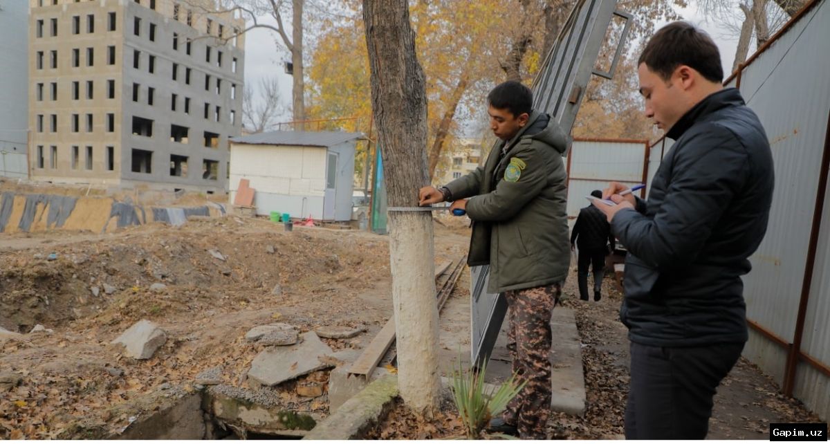 🌳🔥 В Ташкенте на стройке повреждены деревья и произошел пожар