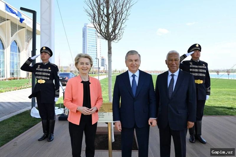 🌳🇺🇿 2030-yilga kelib O‘zbekistonda yashil maydonlar 30 foizga yetkaziladi