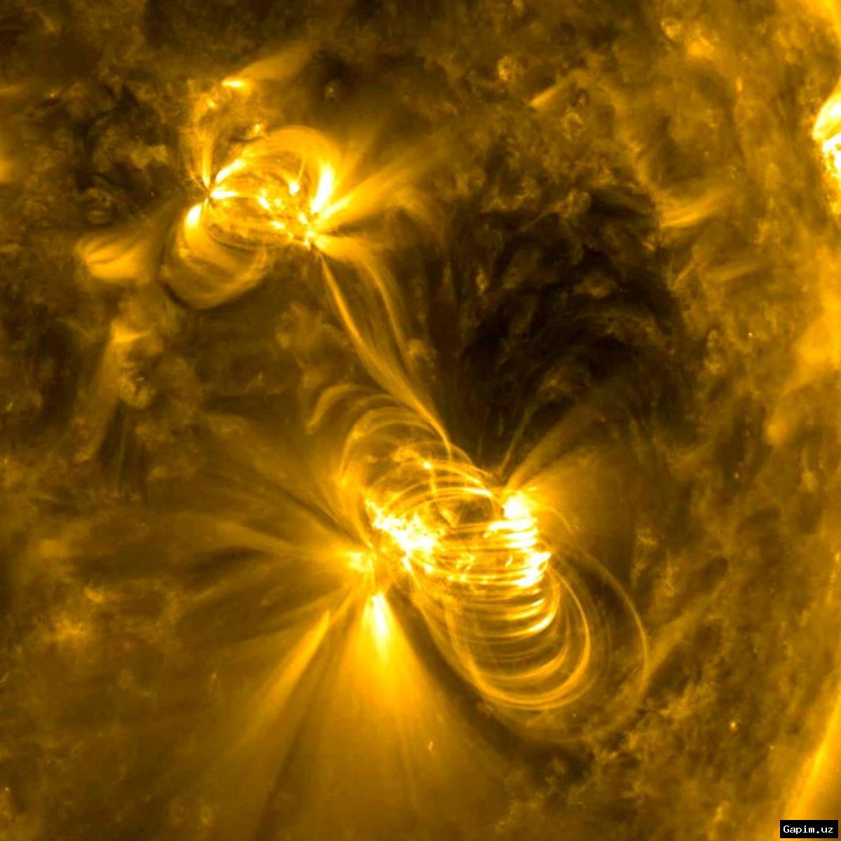 ☀️🌞 Strong Solar Flares Expected on September 3-4