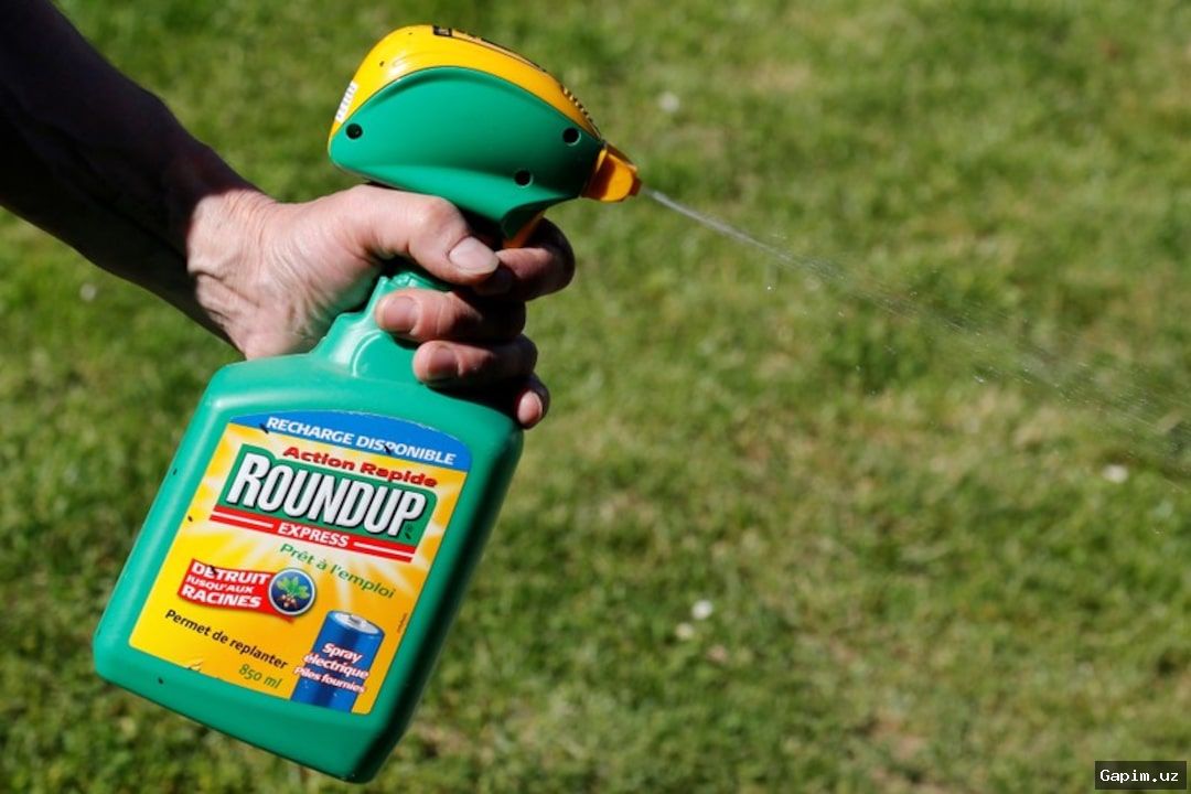 👥📉 Germaniya: Odob-axloq pasayishi, siyosiy tartibsizlik va iqtisodiy muammolar