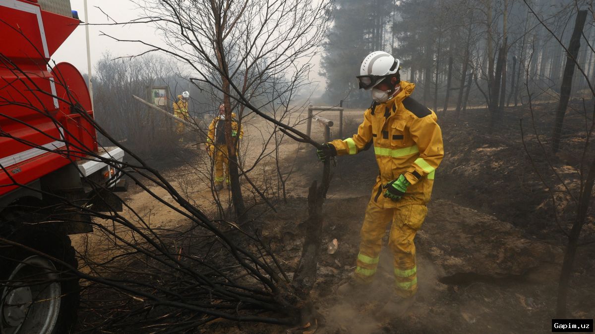 🔥🌲 Крупнейший пожар в Бельгии за столетие: огнеборцы пытаются окружить огонь
