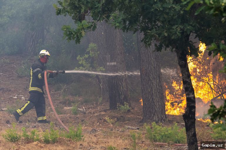 🔥🌲 Yevropada yovvoyi yong‘inlar: Fransiya va Ispaniya kuchli olov bilan kurashmoqda