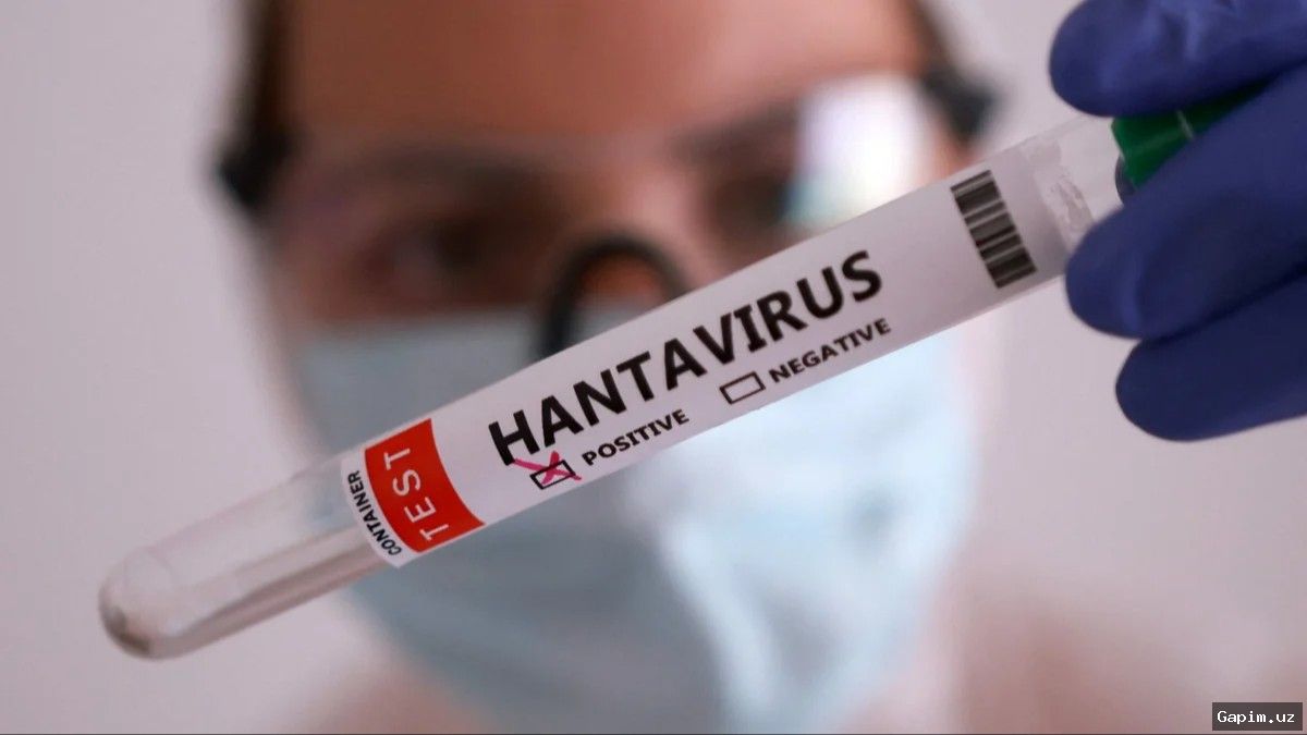 🧪🦠 O‘zbekistonda hantavirus bilan bog‘liq vaziyat barqaror – rasmiylar