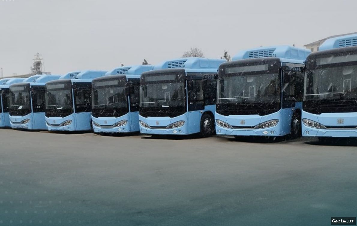 🚌🏙 В Бухару доставлены еще 24 автобуса