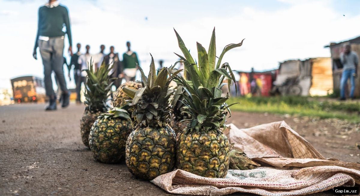 🍍🔫 Убийства на ананасовой плантации Del Monte в Кении продолжаются, несмотря на наем G4S