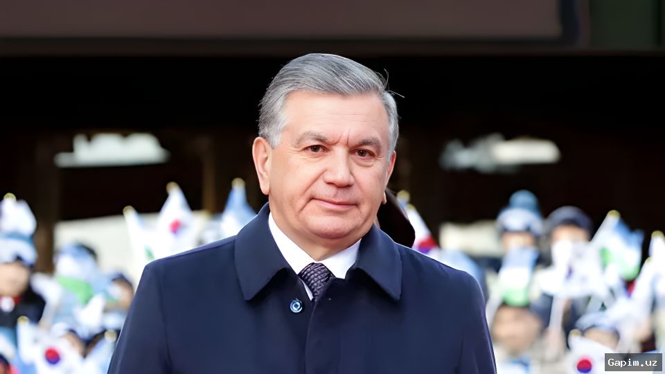 🛢️⚡ President reviews proposals to reform liquefied gas supply system