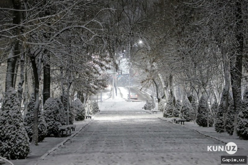 ❄️🌡️ Sovuq havo massasi 12-mart kuni O‘zbekiston hududidan chekinishni boshlaydi