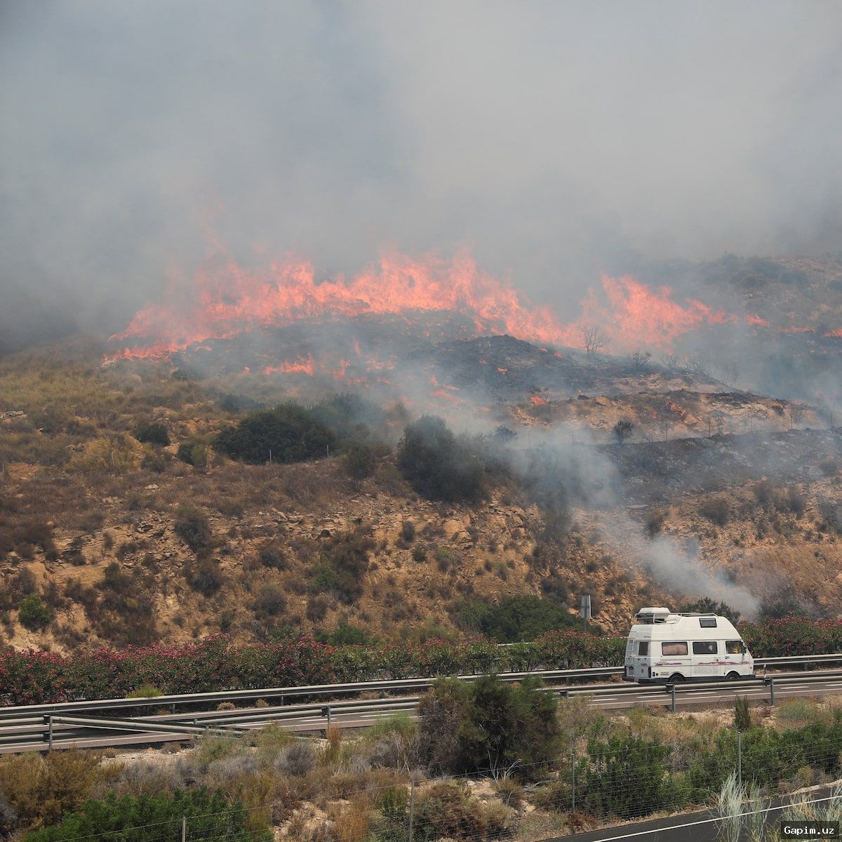 🔥🇪🇸 Spain wildfire: British man loses wife and 12 friends in tragedy