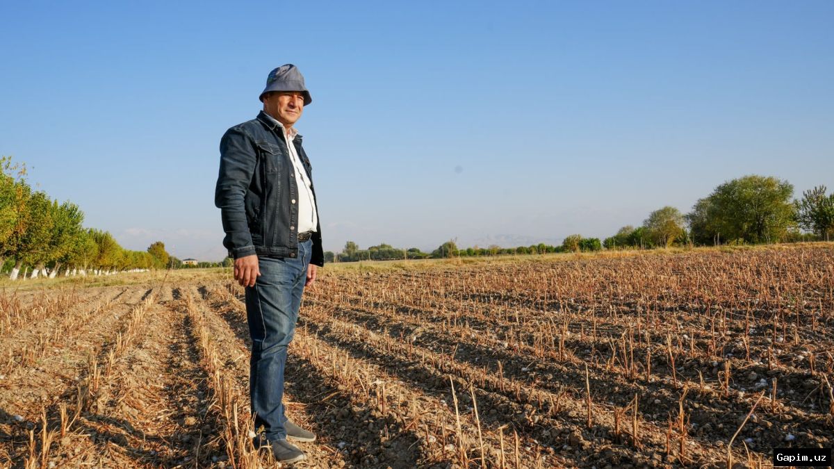 🚜💨 O‘zbekistonda fermerlar uchun dizel yoqilg‘isi subsidiyasi: yangi tartib tasdiqlandi