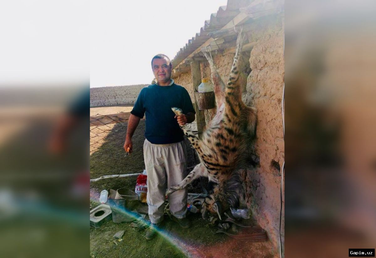 ⚖️🔪 Man Dies After Kidnapping and Beating by Relatives Over Money Dispute in Uzbekistan's Surkhandarya