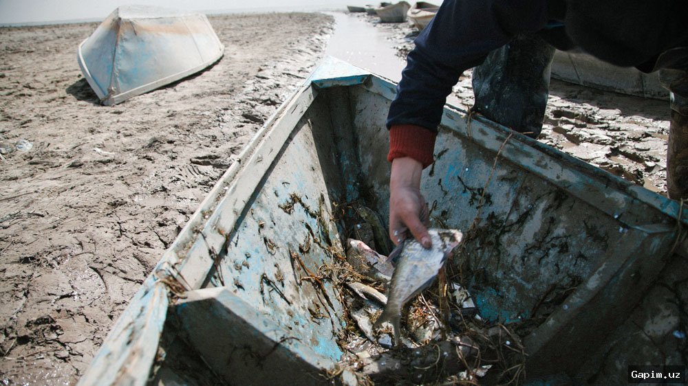 🐟🚫 Uzbekistan Implements Seasonal Fishing Ban to Protect Spawning