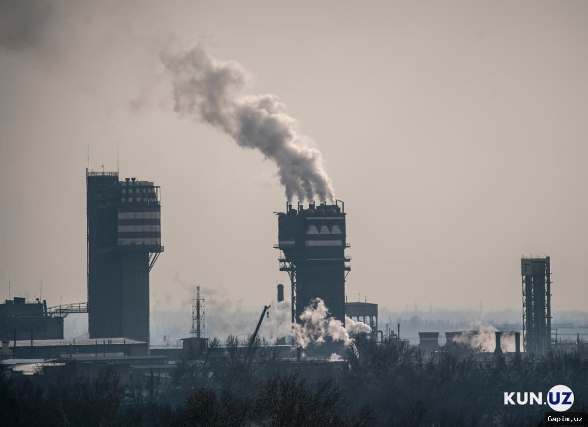 🏭📉 Uglerod soliği: Yangi ekologik talablar aholi cho'ntagiga uradimi yoki iqtisodiyotni yangilaydimi?