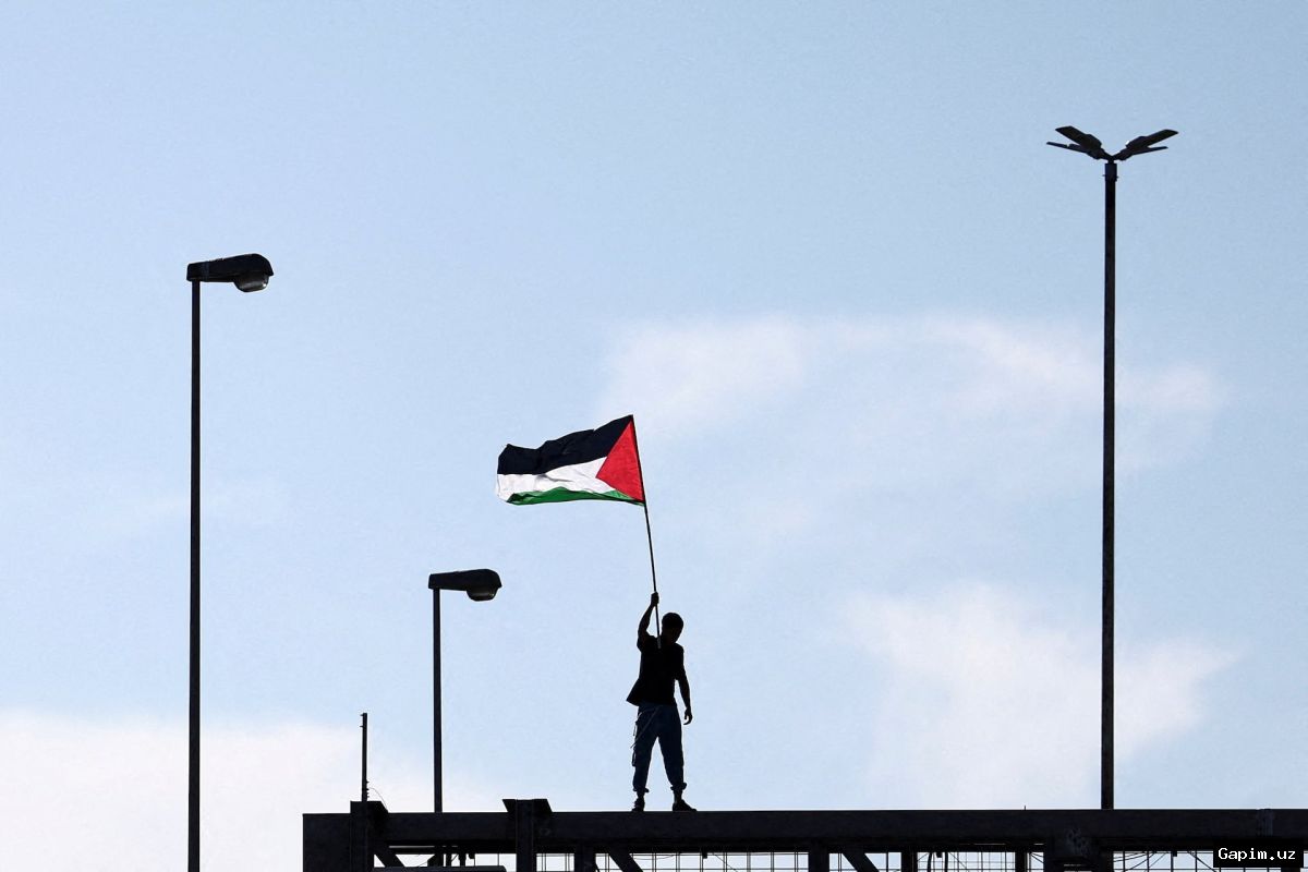 🌍✊ Four pro-Palestinian activists released after month-long detention in Libya