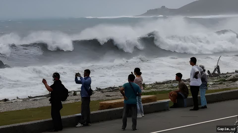 🌀🌪️ Tayfun Bavi Sharqiy Osiyoda vayronagarchilik keltirdi