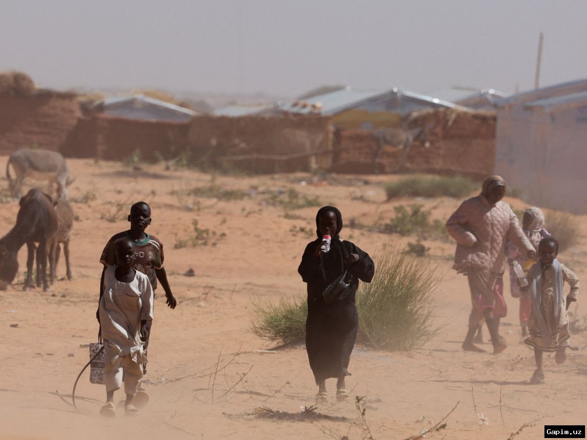 ⚖️🏛️ Тысячи людей удерживаются в тяжелых условиях силами RSF в Эль-Фашере, Судан