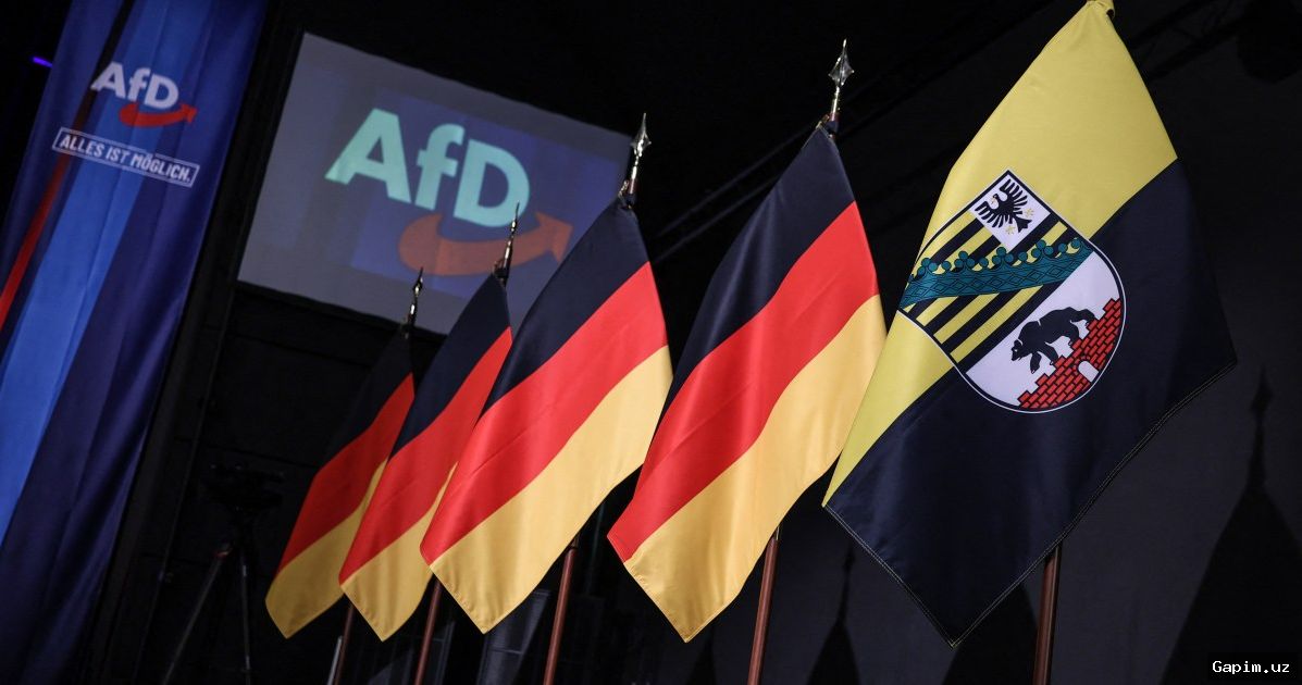 🇩🇪🗳️ AfD победила в Саксонии-Анхальт, но стремится ли она управлять?
