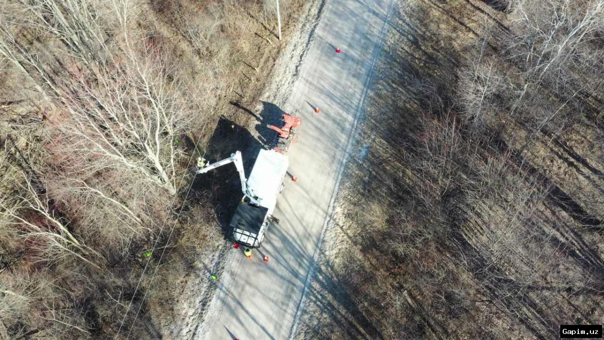 ⚡️🌳 В Сергелийском районе Ташкента временно отключили электричество в ряде махаллей