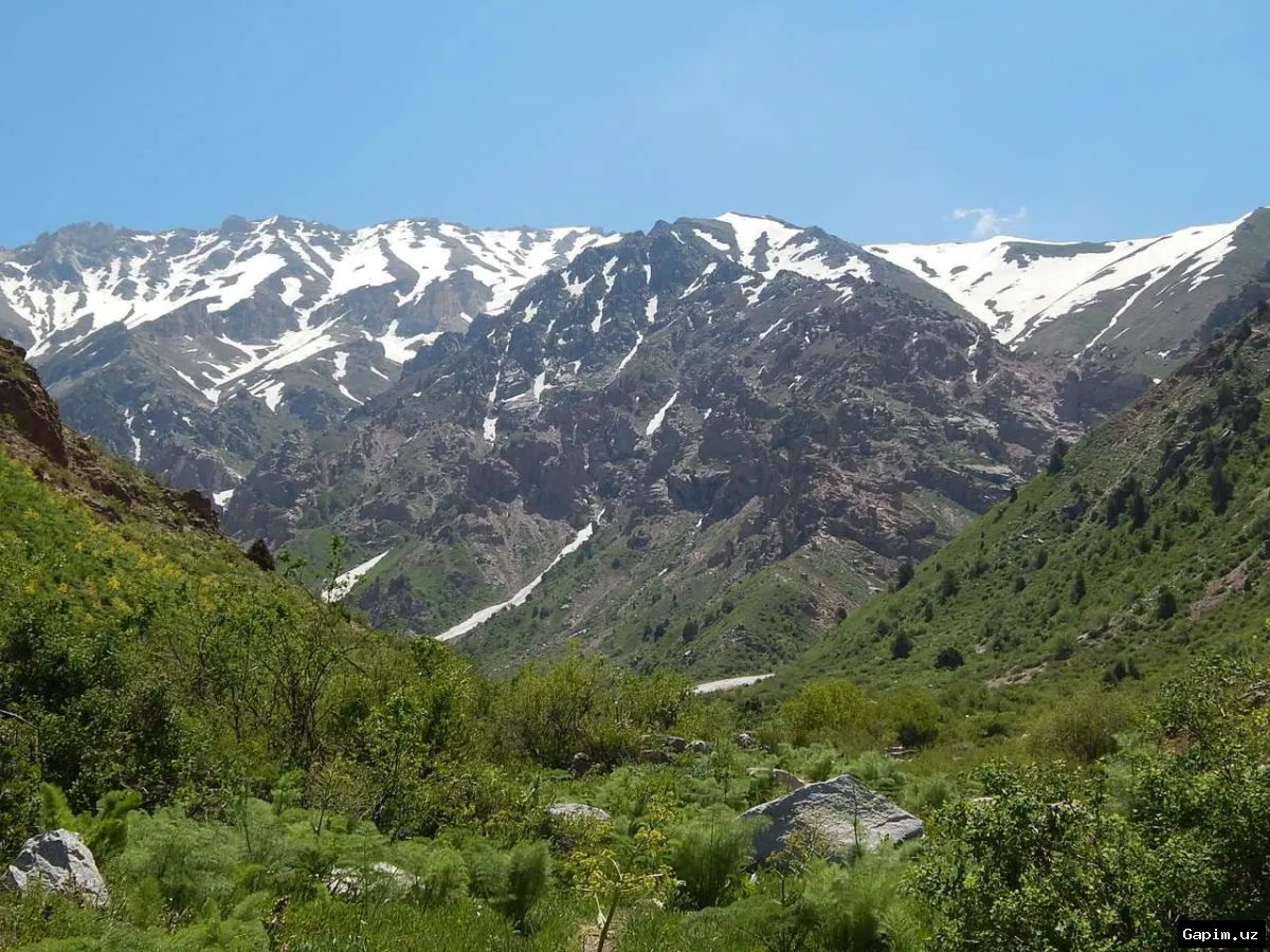 ⛷️🏔️ В Кашкадарьинской области планируют запустить горнолыжный курорт «Гелон» и развивать новые туристические зоны