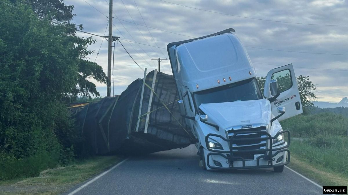 🐝🚛 Rossiyaga 1728 ta asalari oilasi noqonuniy olib kirildi: fura va haydovchi qidirilmoqda