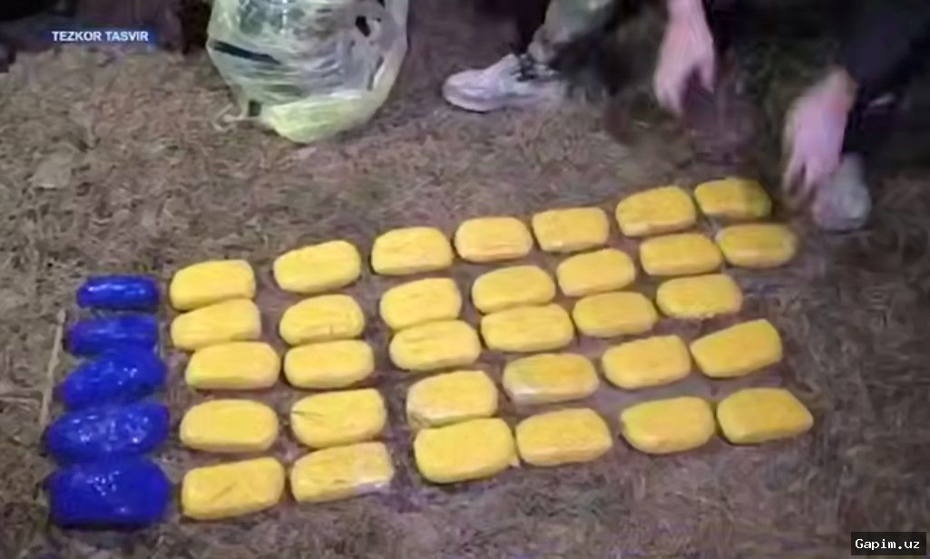 🚨💊 В Самаркандской области пресечена попытка продажи гашиша на 27,4 тысячи долларов