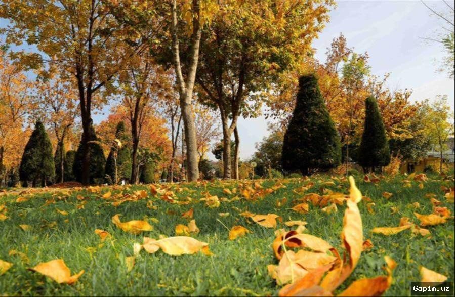 ⛅️🍂 Ожидаемая погода в Узбекистане: влияние на сельское хозяйство и здоровье населения